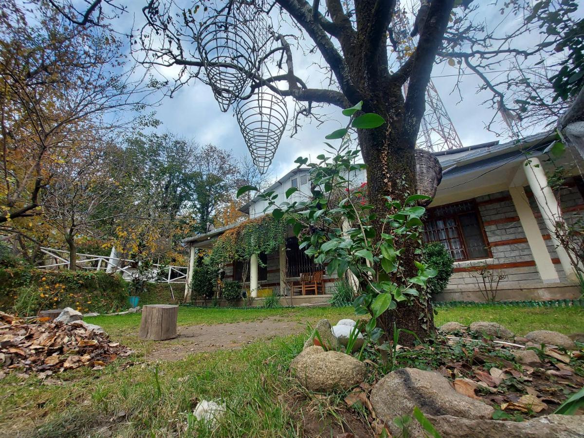 מנאלי Mars Monkey Hostel & Cafe מראה חיצוני תמונה