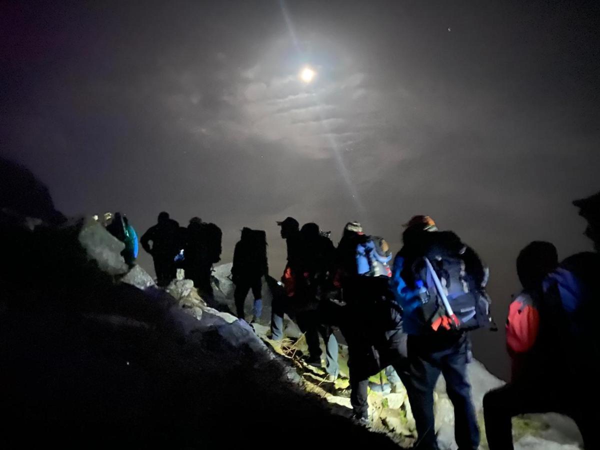 מנאלי Mars Monkey Hostel & Cafe מראה חיצוני תמונה